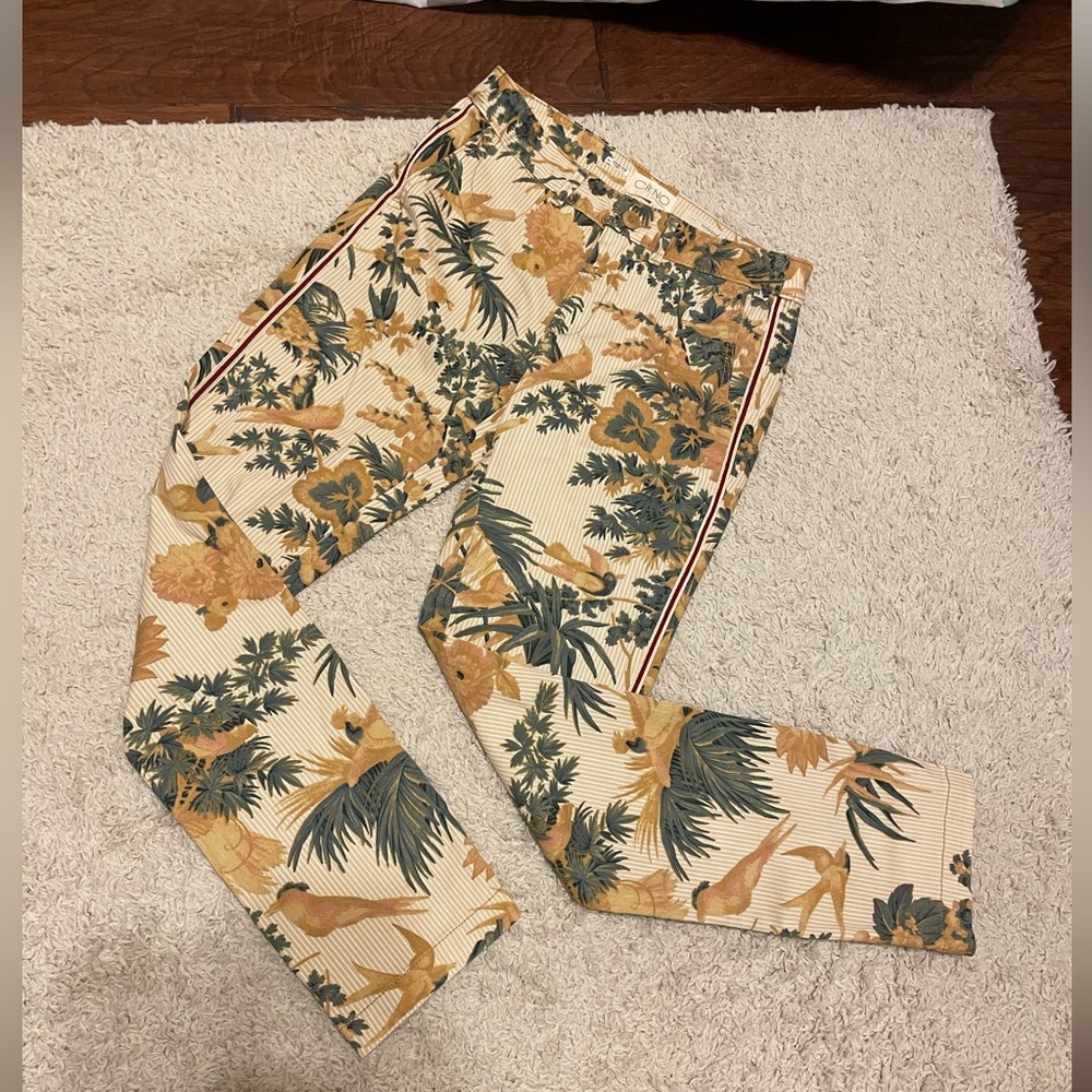 Anthropologie Chinos